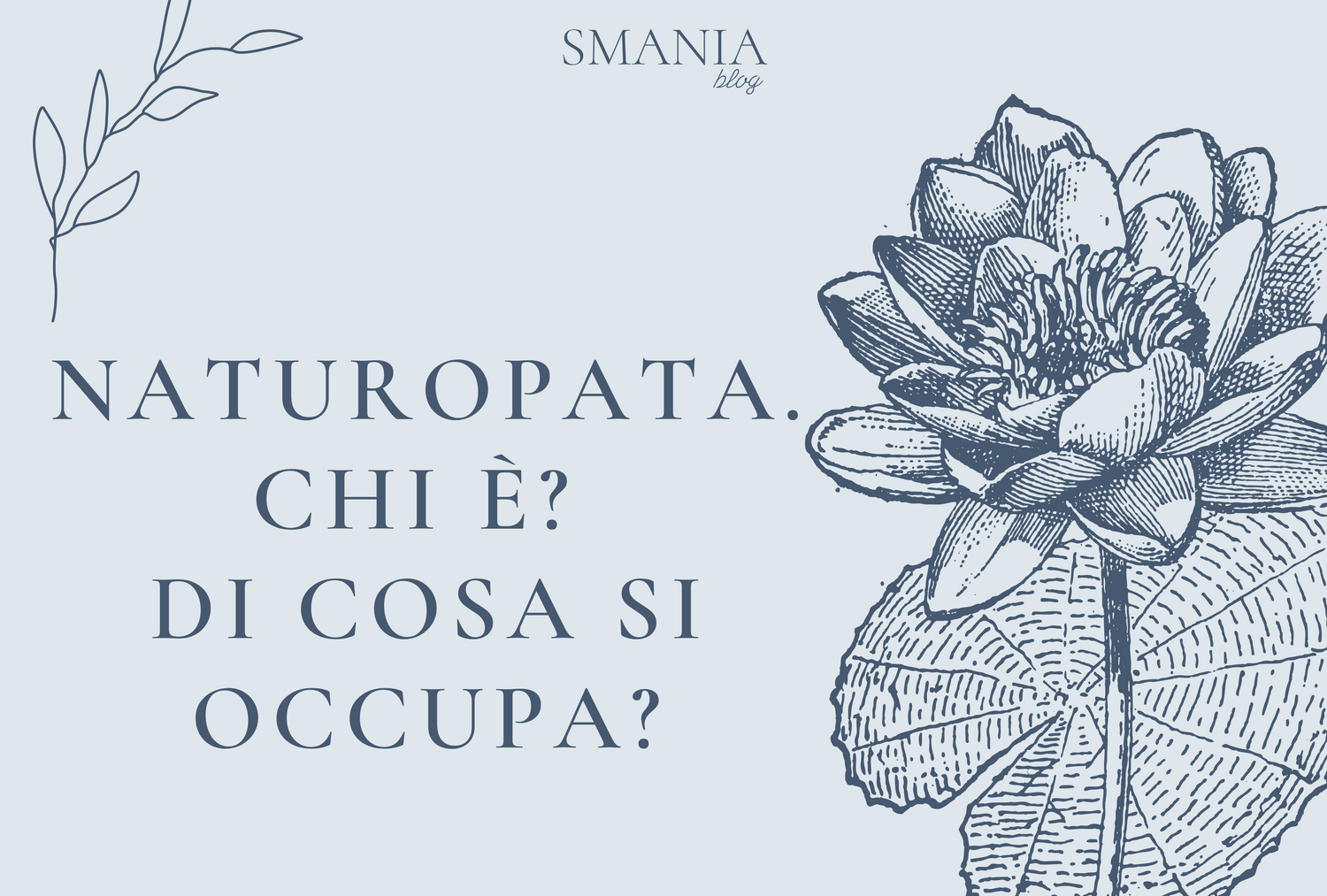 NATUROPATA. CHI E'? DI COSA SI OCCUPA?